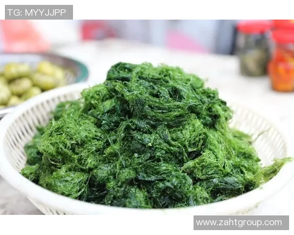 天津足球场周边美食推荐与观赛攻略助你享受精彩赛事体验